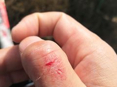 -活鱼馆(宜兴埠店)