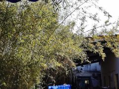 -章记正宗南岗鱼蛋火锅