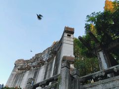 -音乐台