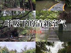 -燕晗山郊野公园