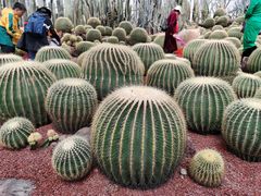 -南通洲际绿博园