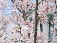 -上海山野camping·户外天幕烧烤·团建拓展营地