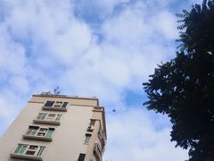 -金砂公园