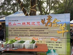 -巴山一绝烤全羊(三圣乡刘家花园店)