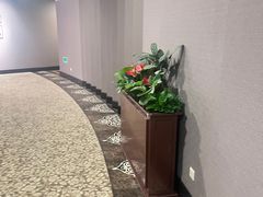 -大西洋餐厅(肇嘉浜路店)