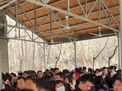 -少华山国家森林公园