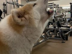 -YCHL Studios健身工作室(市二宫店)