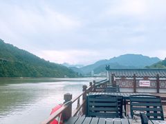 -后柳水乡