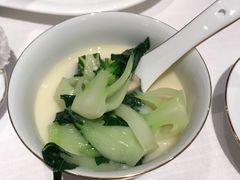 白菜仔-东富酒家(龙湖西溪天街店)