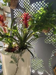 -金芙美月子中心(财富别墅店)
