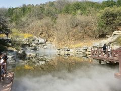 -北京西山国家森林公园