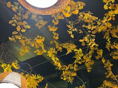 -庭院小酌(瑞莲街店)