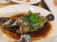 -新梅园不夜粥(龙华店)
