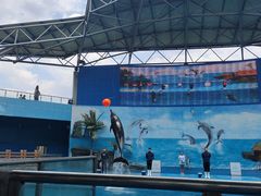 -石林冰雪海洋世界