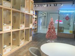 -爪爪喵星球·猫舍(卓悦中心店)