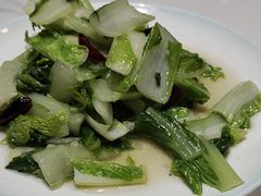 -瑞琳阿尔泰冷水鱼(康源财富中心店)
