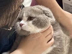 -瑞派康怡24h宠物医院·犬猫医疗中心·微创绝育(瑞景分院)