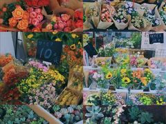 -溪岸路花鸟市场