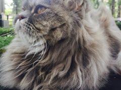 -惠康宠物医院(华能路店)