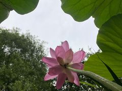 -秀水公园