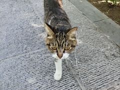 -迎泽公园