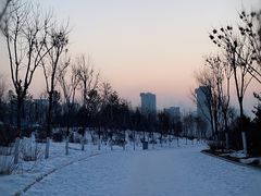 -成吉思汗公园
