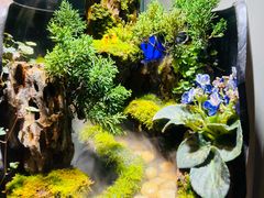 -街角等你.大连海鲜烧烤.经典铁板海鲜串(西安路店)