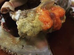 -普乐酱蟹(coex店)
