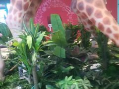 -六福烧烤酒馆(秦隆步行街店)