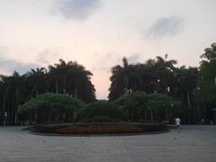 -金花茶公园