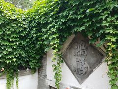 -王家大院
