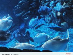 -多彩贵州城极地海洋世界