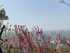 -杭州半山国家森林公园