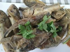 -烁佳海鲜大馅饺子