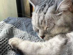 -平行世界·猫咖(首经贸店)