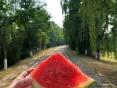 -白鹭湾湿地公园