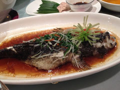iphone_upload_pic-苏先生海鲜渔庄(金桥店)