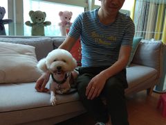 -犬也宠物造型(恒茂国际都会商业街店)