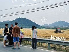 -李东农庄(中南百草园地标店)
