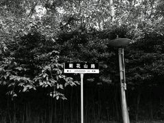 -南山风景名胜区