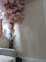 -万州华美紫馨整形美容医院