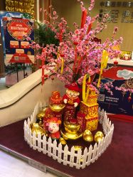 点击看大图 -天津伊美尔医疗整形美容专科医院