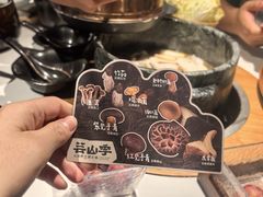 -芸山季·云南山珍菌火锅(南翔印象城MEGA店)