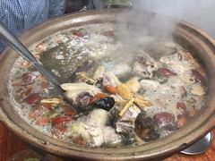 炭炉果鸡煲-威邵鸡煲(西华路总店)