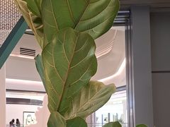 -烹然四季椰子鸡火锅(姚家园万象汇店)