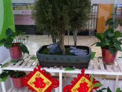 -童程童美少儿编程乐高机器人(浦口校区)