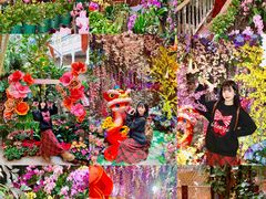 -正佳雨林生态植物园