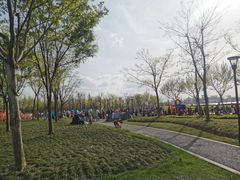 -上海山野camping·户外天幕烧烤·团建拓展营地