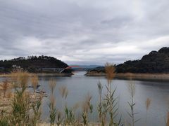 -广州市流溪河国家森林公园