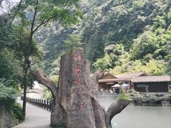 -神龙峡风景区